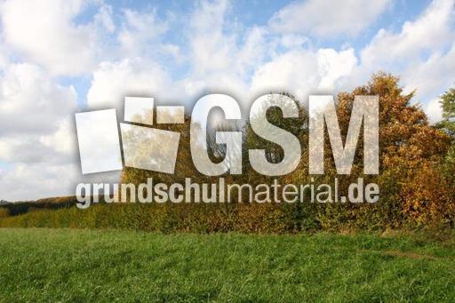 Herbststimmung-25-10-09 003.jpg